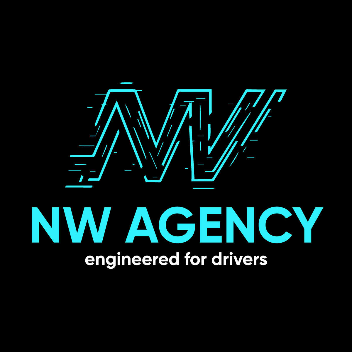 NW Agency | BMW & MINI Codierung, Tuning & Performance Online – NW ...